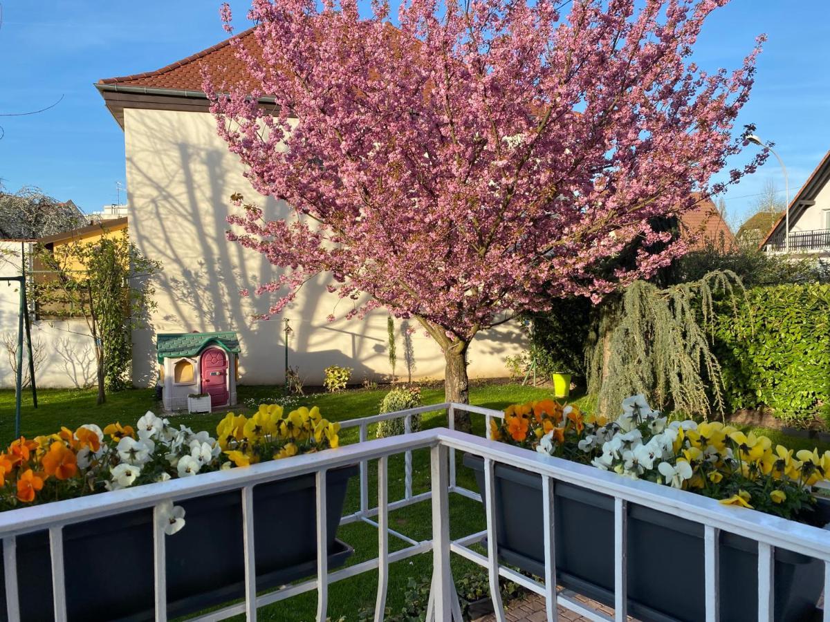 Appartement Le Jardin Lingolsheim Exteriör bild