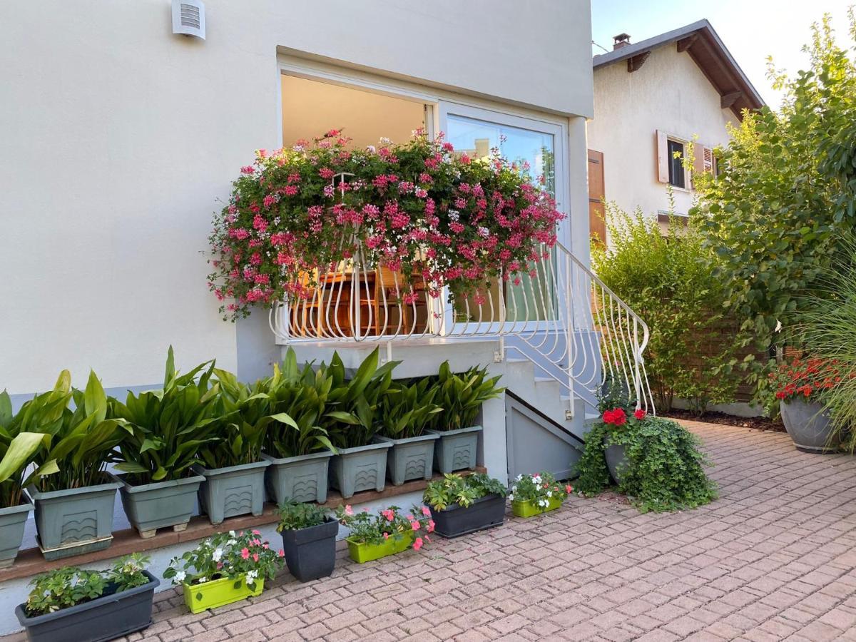 Appartement Le Jardin Lingolsheim Exteriör bild