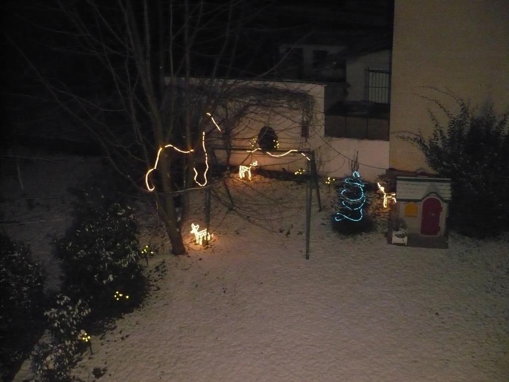 Appartement Le Jardin Lingolsheim Rum bild