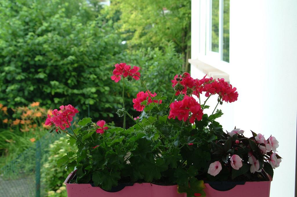 Appartement Le Jardin Lingolsheim Rum bild