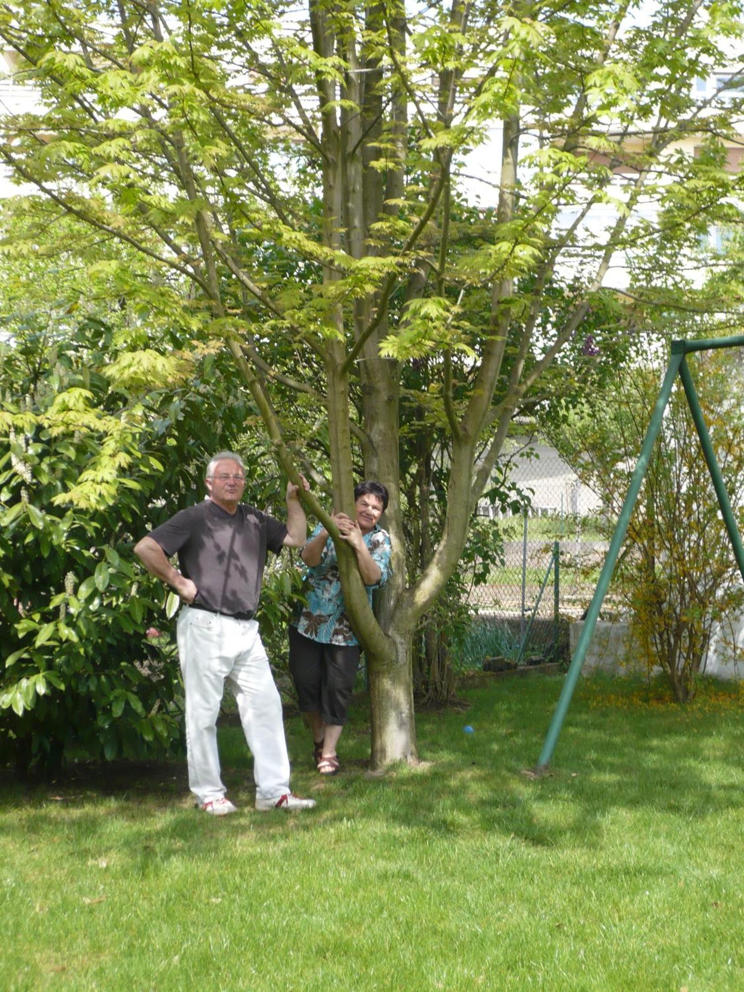 Appartement Le Jardin Lingolsheim Exteriör bild