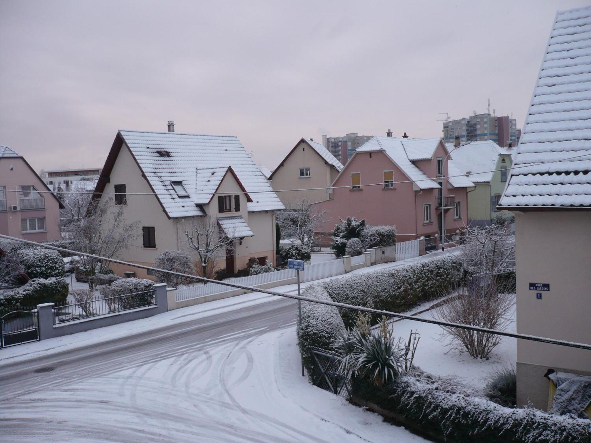 Appartement Le Jardin Lingolsheim Exteriör bild