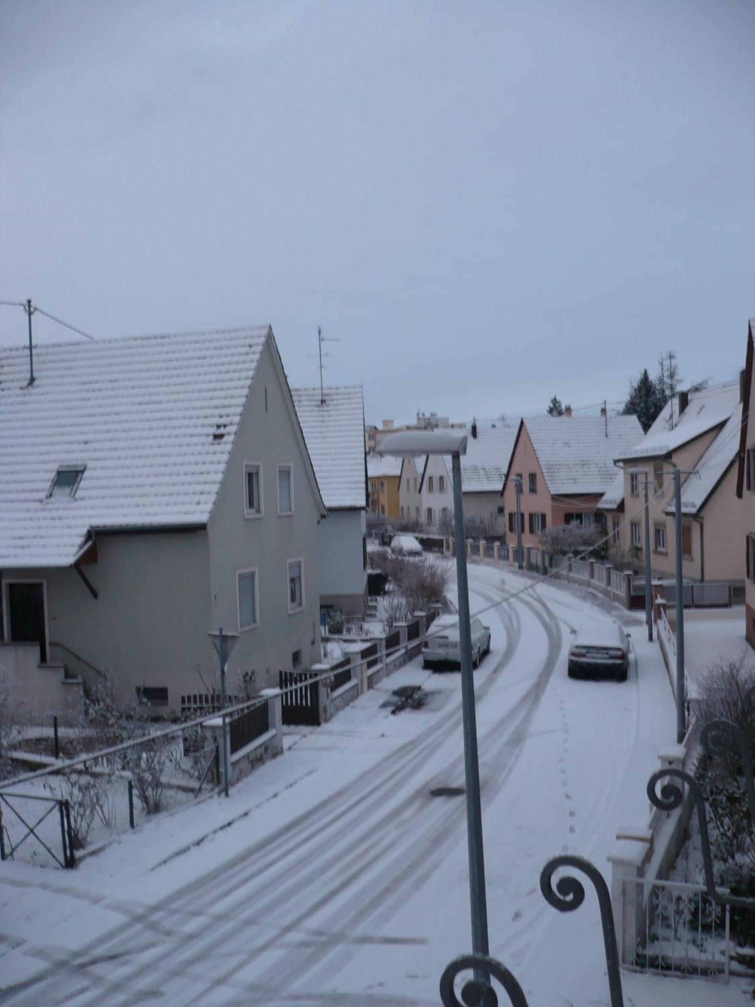 Appartement Le Jardin Lingolsheim Exteriör bild